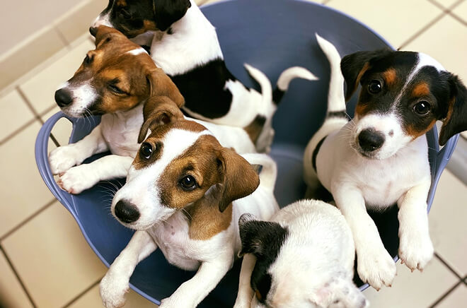 Consultations préventives