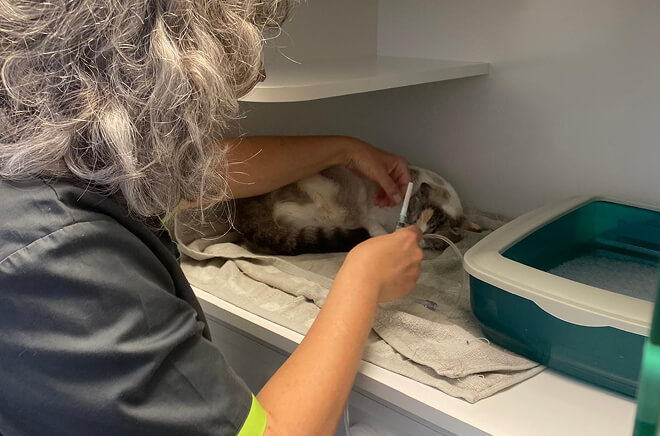 Prise en charge de la douleur